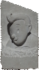 Tintin